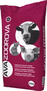 АВА ЗДОРОВА (AVA ZDOROVA)